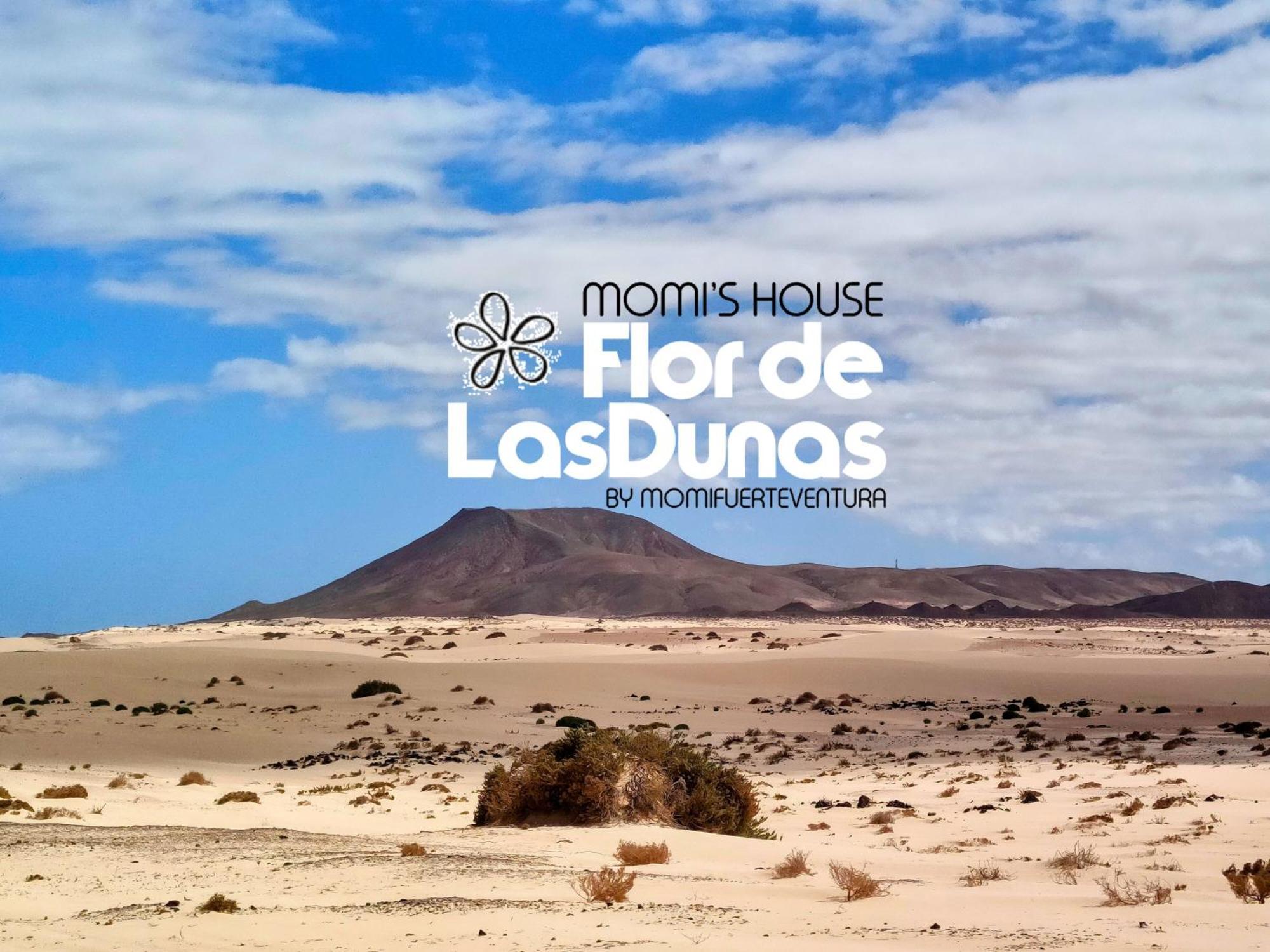 Flor De Dunas Pools Wifi Tennis Bikes For Free Corralejo
